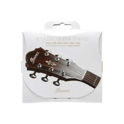 Струни для гітари Ibanez IACS6C Acoustic Guitar Strings 12-53 (301879)