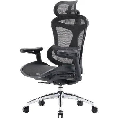 Офісне крісло Sihoo DORO C300L Mesh Black (DORO-C300L-A3-101)