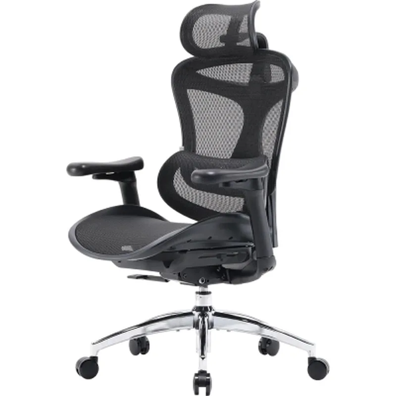 Офісне крісло Sihoo DORO C300L Mesh Black (DORO-C300L-A3-101)