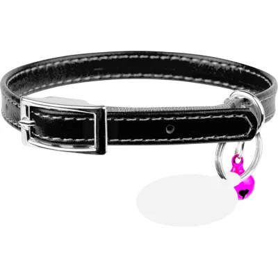 Нашийник для тварин WAUDOG Glamour з QR паспортом Д 17-20 см чорний (32751)