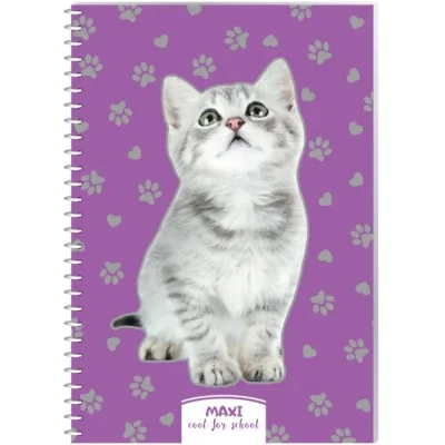 Блокнот Maxi А5, пластикова обкладинка, спіраль, 60 арк., клітинка (MX21213-10)
