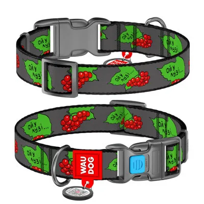 Нашийник для тварин WAUDOG Nylon з QR паспортом "Калина" пластиковий фастекс XL (4504-0228)