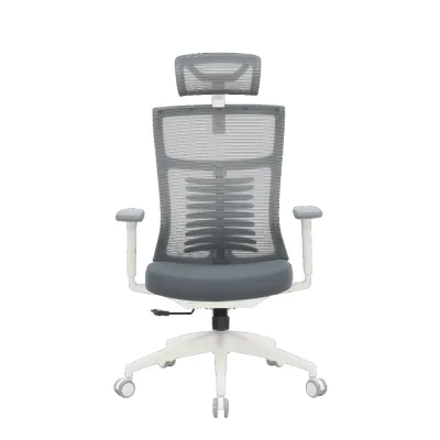 Офісне крісло OfficePro Balance OC550-W-DG-DG (OC550-W-DG-DG)