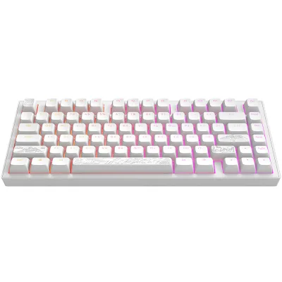 Клавіатура Dark Project ALU81 Terra Nostra PBT RGB Mech G3MS Moonstone White (DPKB_NOSTRA_81_ANSI_WHITE_UA)