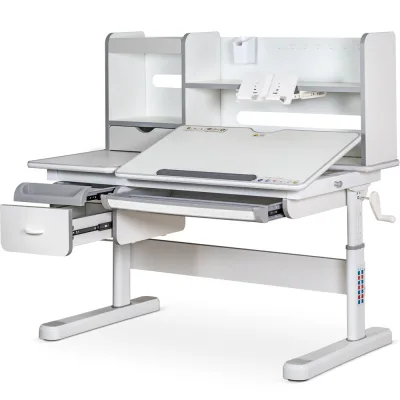 Парта Mealux Florida Multicolor Gray (Evo-52 WG + G Multicolor)
